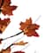 6ft. Warm White LED Lighted Autumn Harvest Maple Leaf Tree